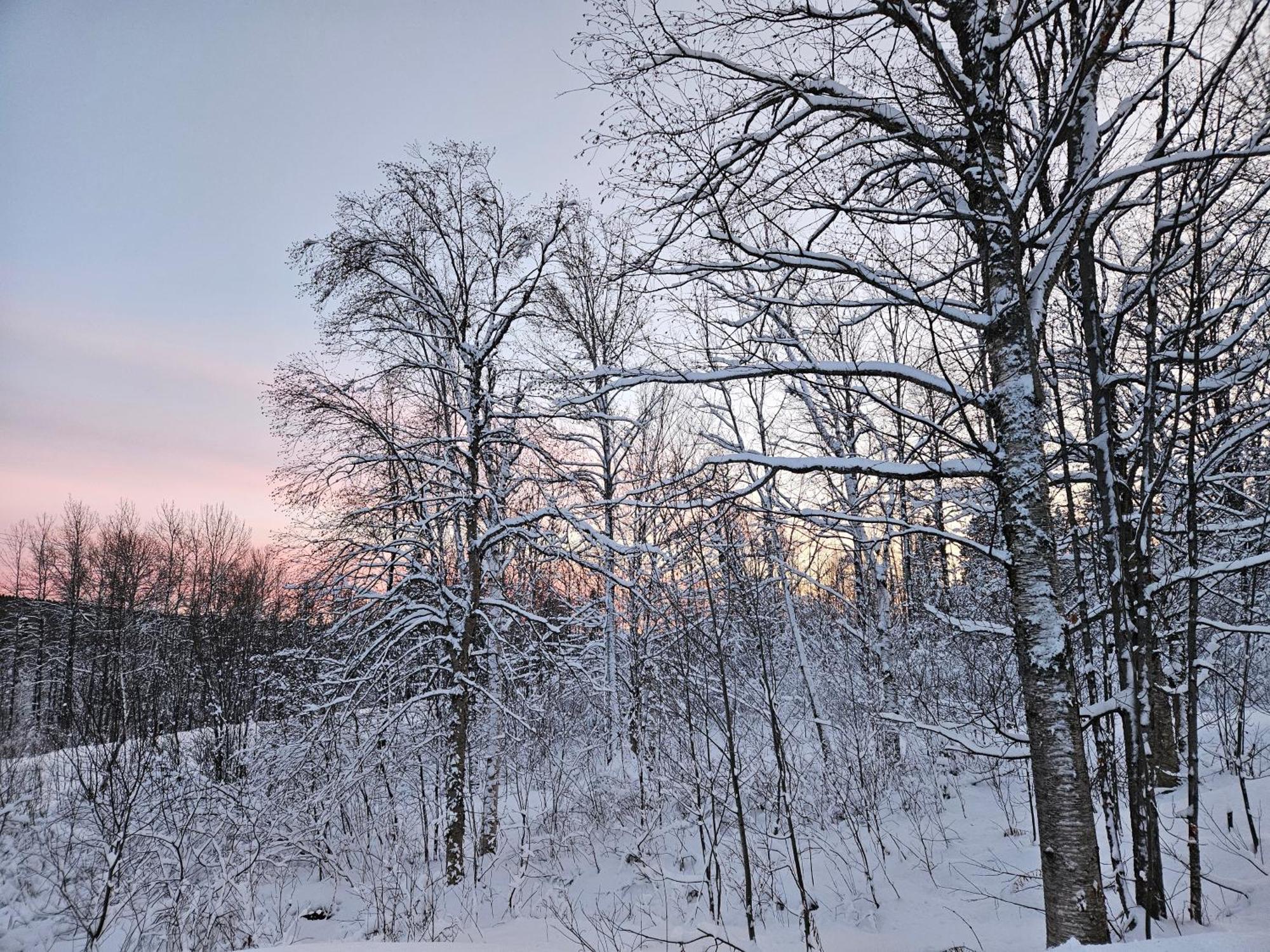 Parc Du Mont-citadelle Lodge